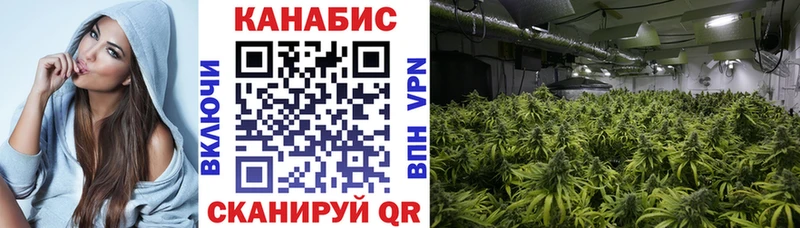 Где купить наркоту Медвежьегорск Марихуана СК Псилоцибиновые грибы НБОМе АМФЕТАМИН ГАШ