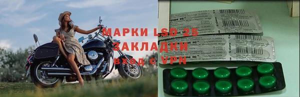 молекула духа Карпинск