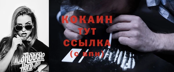 амф Каменка