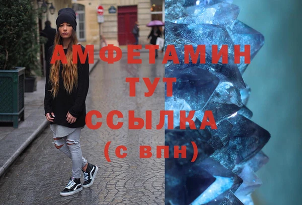 молекула духа Карпинск