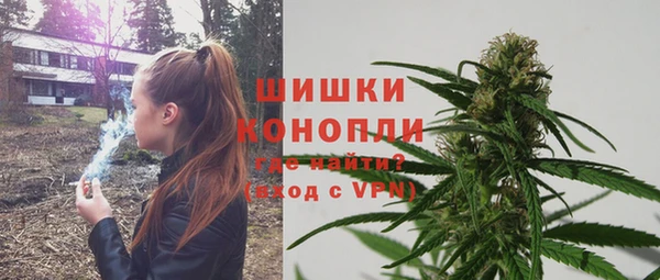 сатива Киреевск
